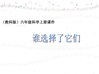 谁选择了它们__(恢复)