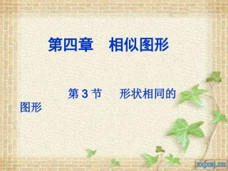 形状相同的图形课件 (2)