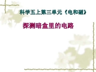 探测暗盒里的电路