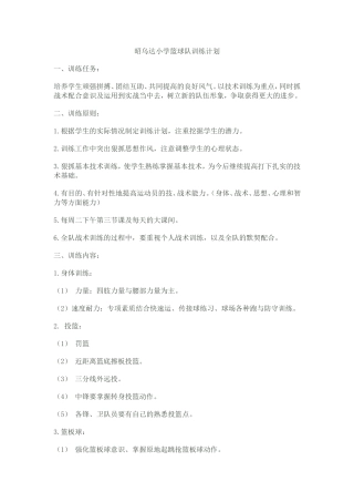 篮球队训练计划(3)