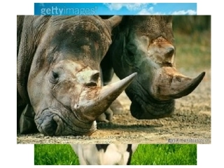 认识角课件(北师大版二年级数学下册课件)