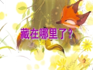 《藏在哪里啦》课件