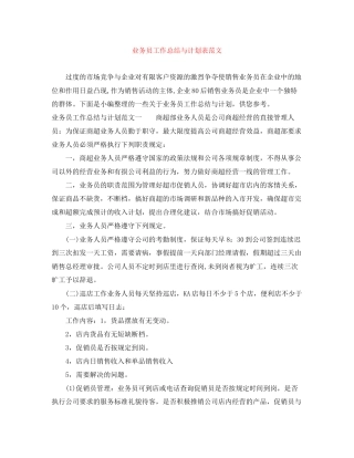 业务员工作总结与计划表范文