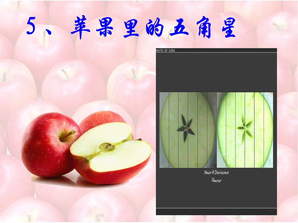 苹果里的五角星 (2)_第2页