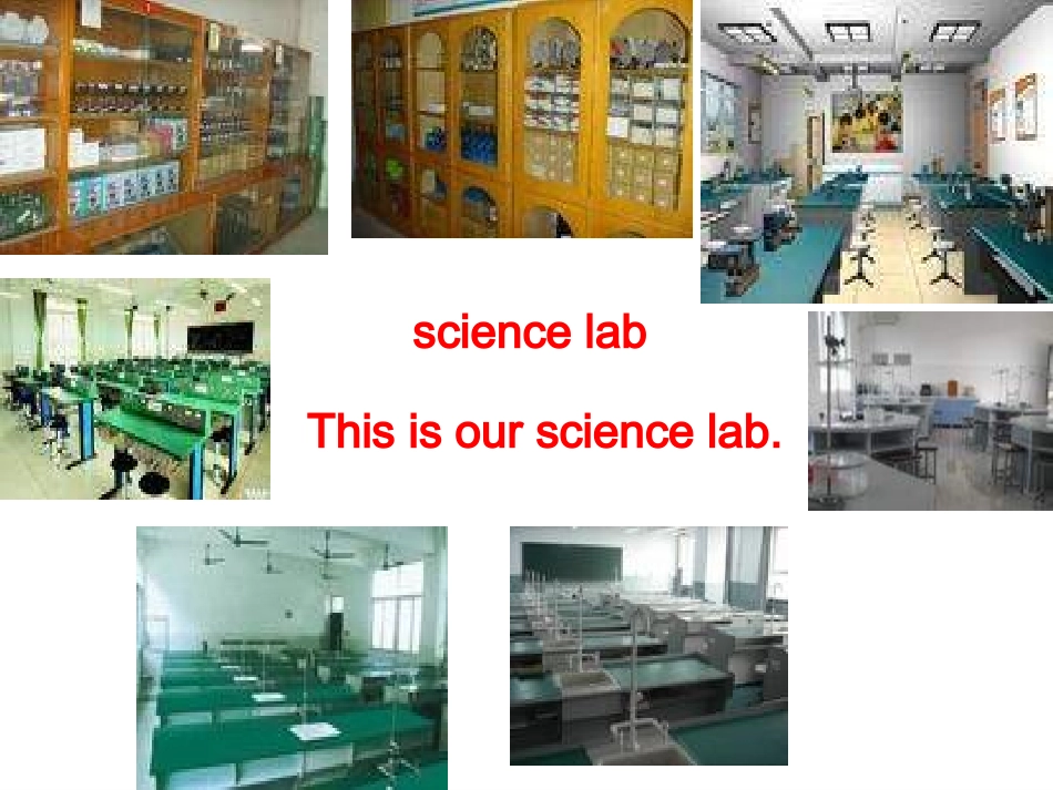 人教新版小学英语五年级下册课件Lesson15_第3页