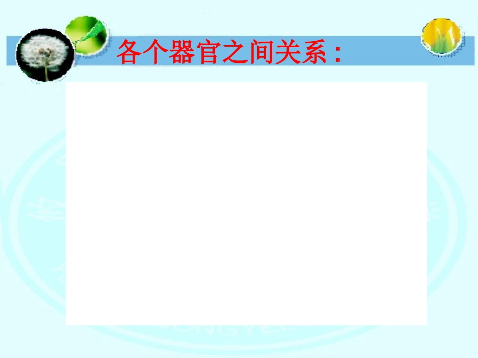 和谐统一的身体_第2页
