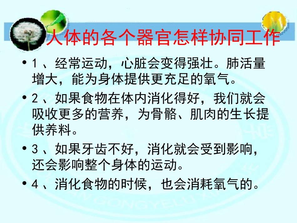 和谐统一的身体_第3页