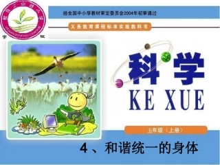 和谐统一的身体