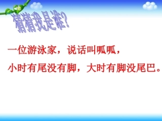 字母表示数课件PPT董琎