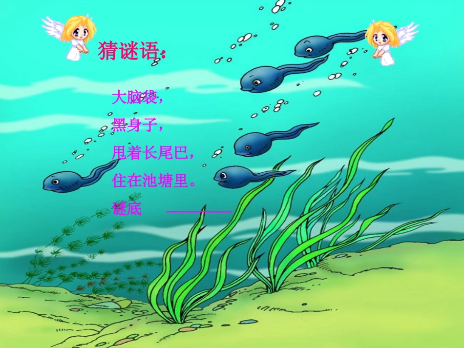 小蝌蚪找妈妈 (7)_第2页