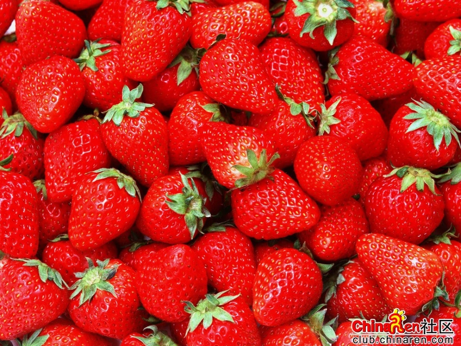 托班认识《红黄蓝绿》PPT_第2页