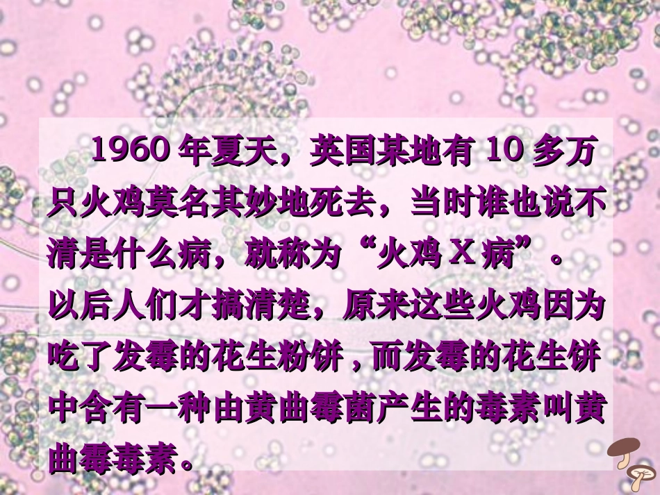 人教版八上第五单元第四章第三节真菌（共30张PPT）_第3页