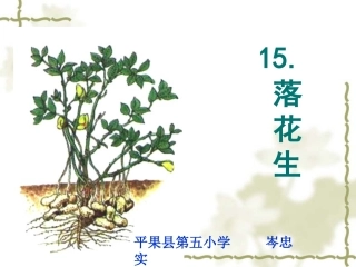 五年级语文上册第四组15落花生第一课时课件
