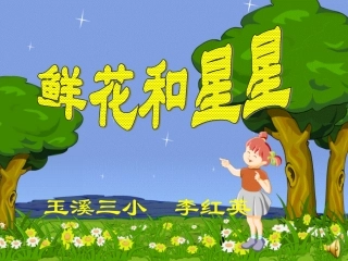鲜花和星星 (2)