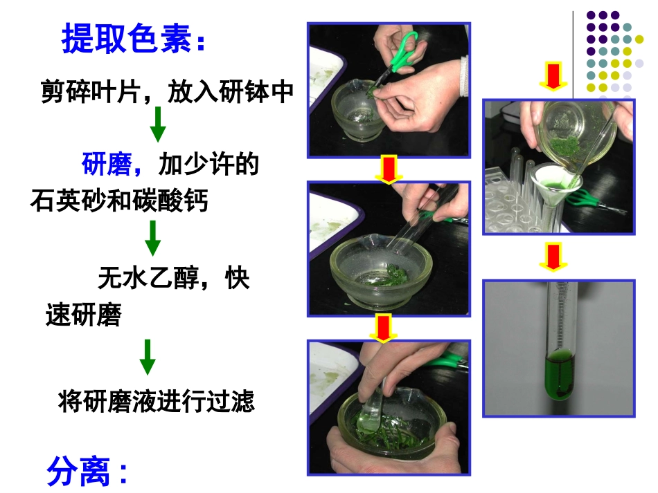生物：54《能量之源——光与光合作用》课件(新人教版必修1)(1)_第2页
