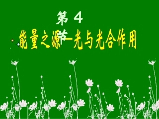 生物：54《能量之源——光与光合作用》课件(新人教版必修1)(1)