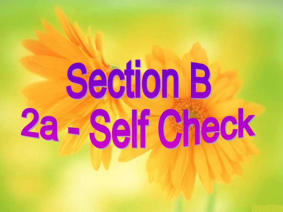 新目标Go+for+it版+九年级Unit3Couldyoupleasetellmewheretherestroomsare？SectionB2a-SelfCheck（共3_第2页