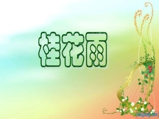 《桂花雨》课件