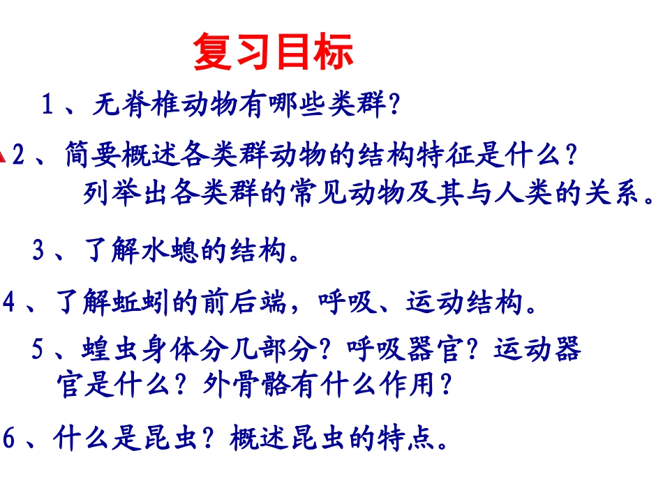 无脊椎动物类群_第3页