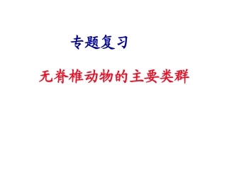 无脊椎动物类群