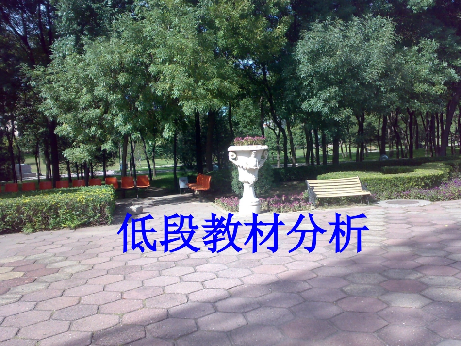 低段教材培训_第1页