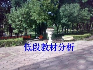 低段教材培训