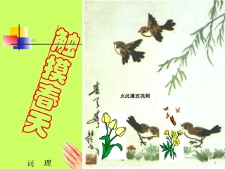 触摸春天PPt