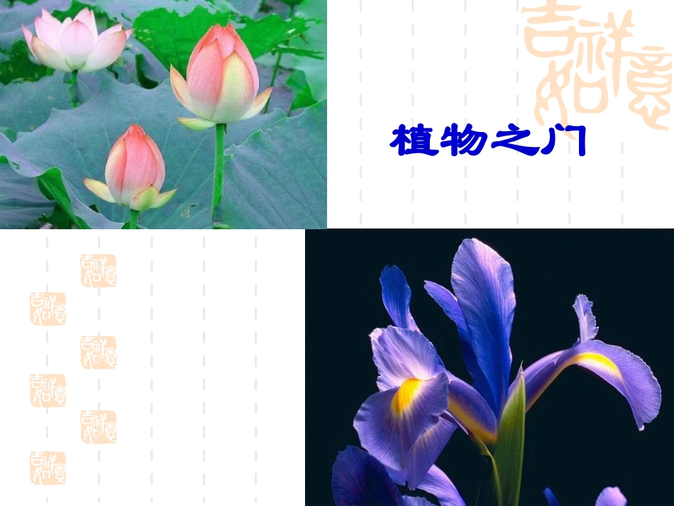 《为你打开一扇门》课件_第2页