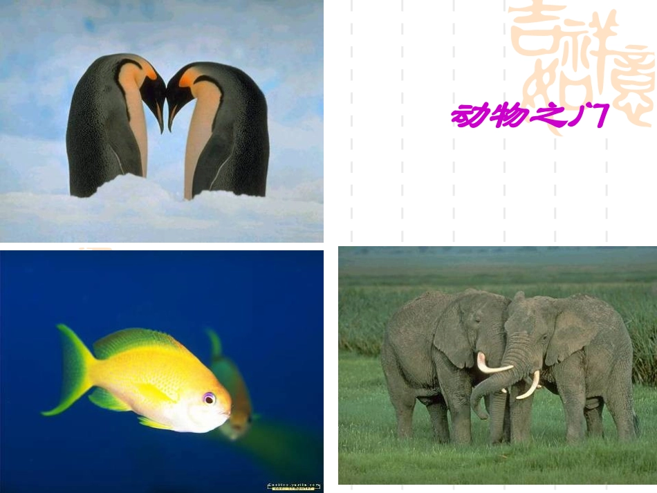 《为你打开一扇门》课件_第3页