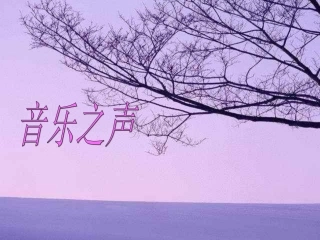 音乐之声——雪绒花