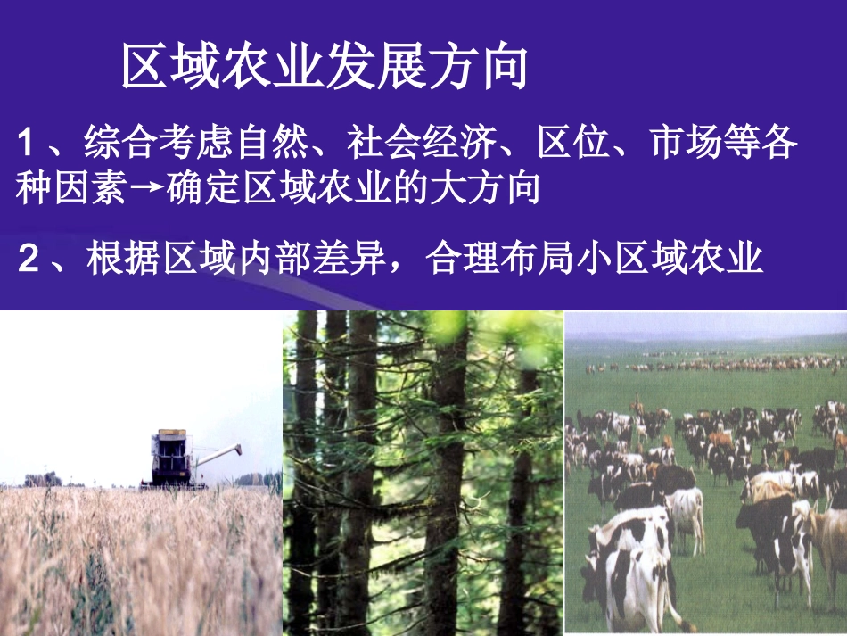 区域农业发展（以东北为例）_第2页