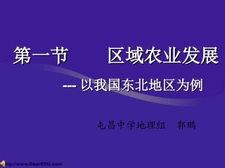区域农业发展（以东北为例）