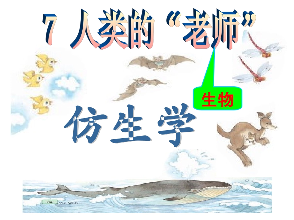 人类的老师第课时_第1页