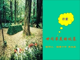 世间最美的坟墓 (2)