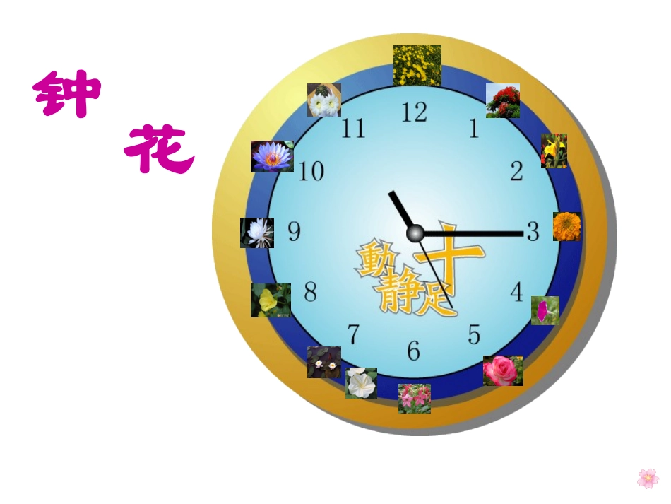 三年级语文《花钟》3课件_第1页