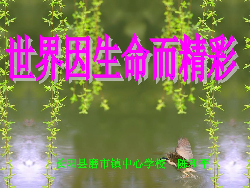 世界因生命而精彩课件 (3)_第1页