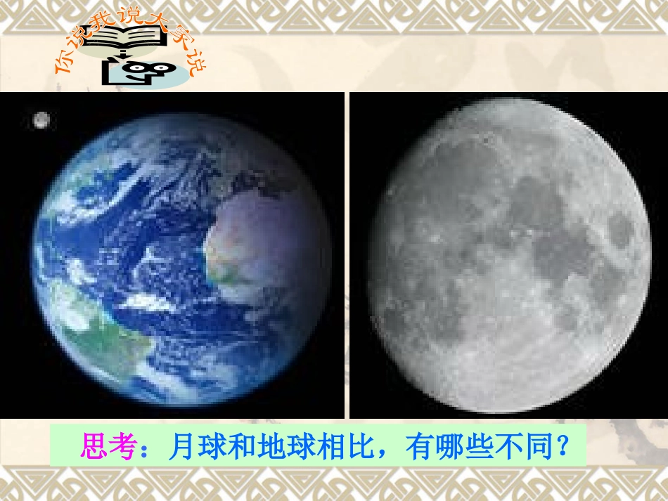 世界因生命而精彩课件 (3)_第2页