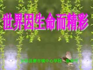 世界因生命而精彩课件 (3)