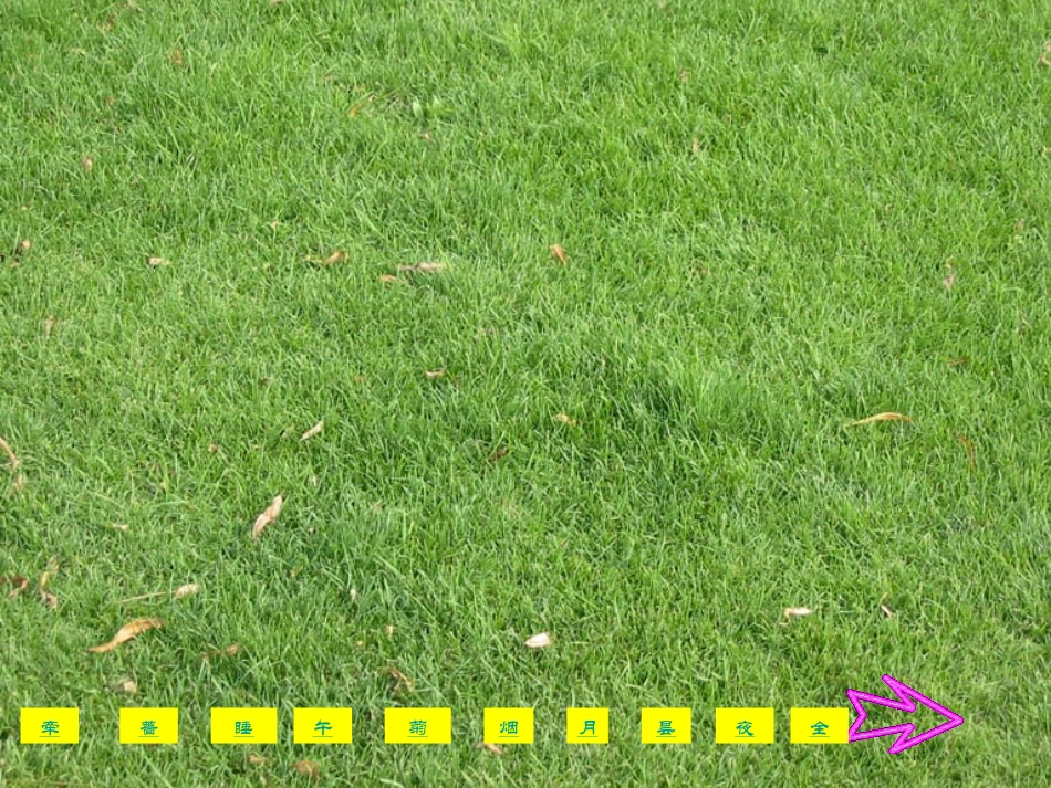 人教版新课标语文三年级上册《花钟》课件_第3页