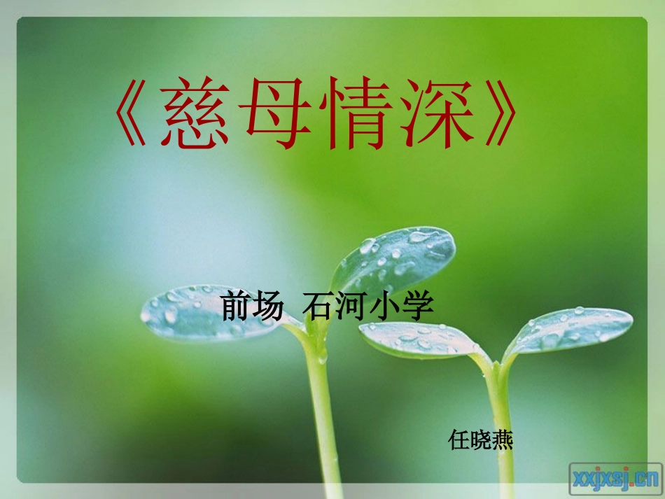 五年级《18慈母情深》PPT课件_第1页