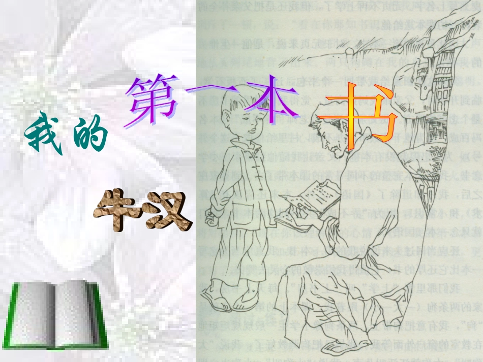 我的第一本书PPT课件_第1页
