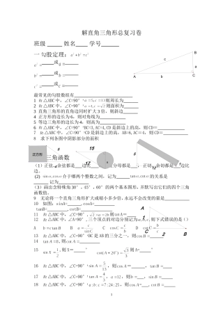 解直角三角形总复习卷