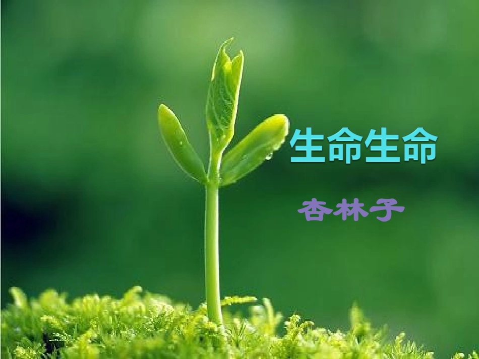 四年级下册《生命生命》PPT_第1页