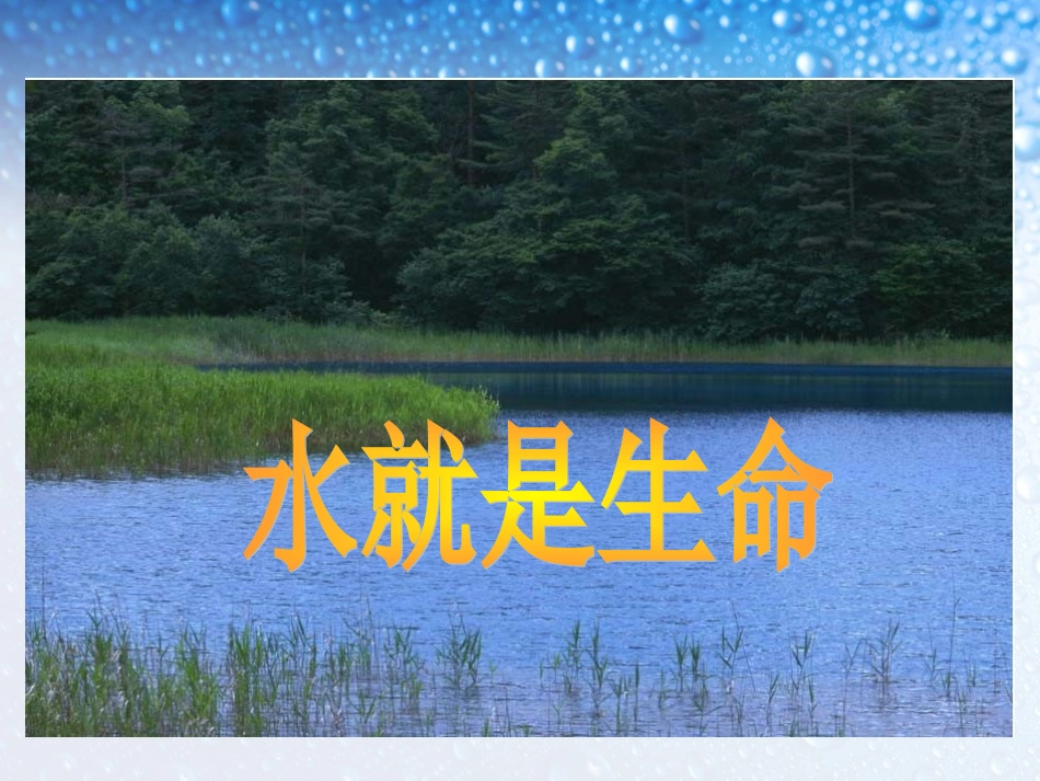 水就是生命课件(北师大版五年级语文上册课件)_第3页