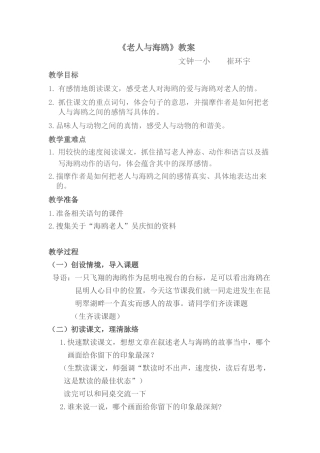老人与海鸥教案 (2)