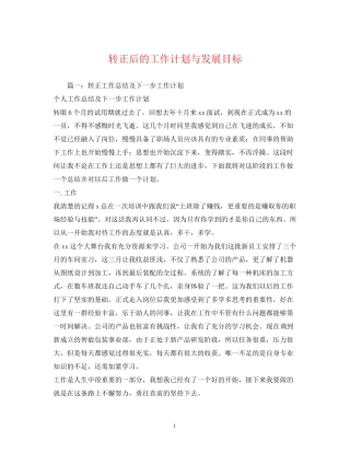 转正后的工作计划与发展目标