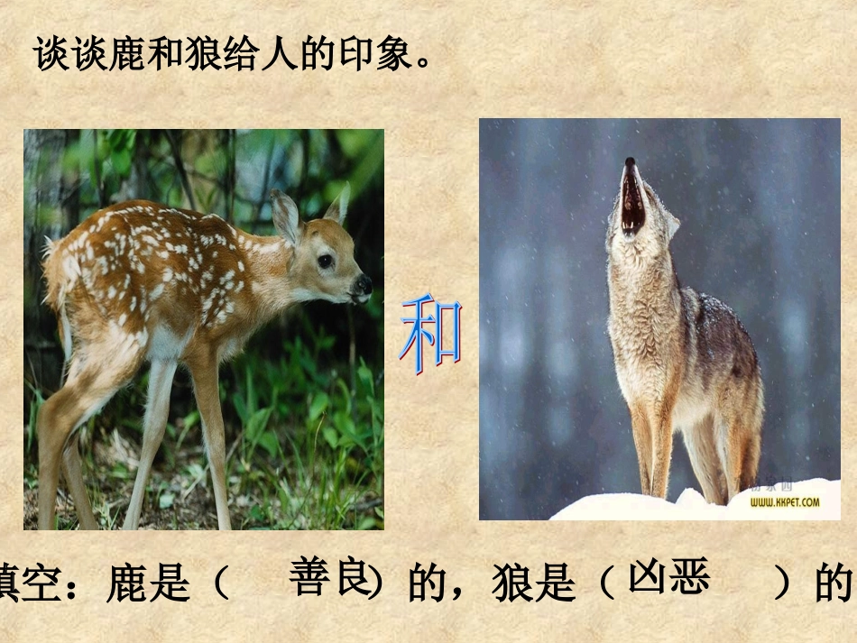 鹿和狼的故事111111_第1页