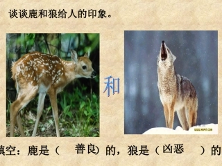 鹿和狼的故事111111