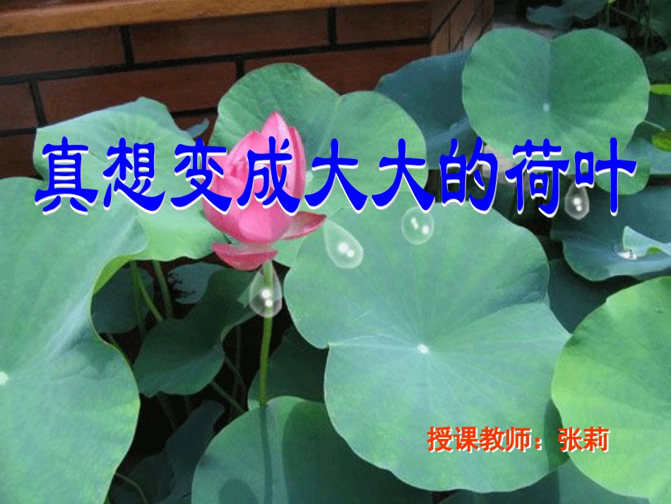 真相变成大大的荷叶1_第1页