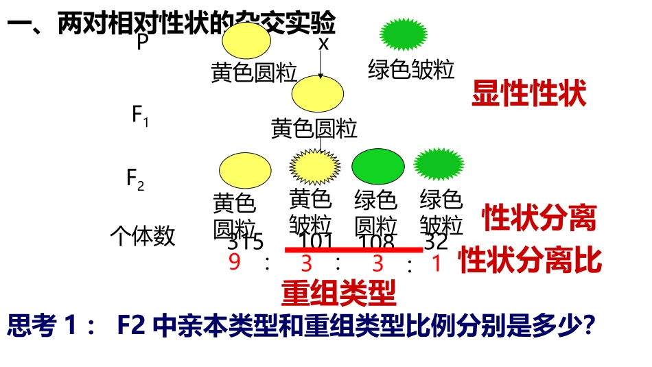一轮复习孟德尔豌豆杂交实验二 (3)_第3页